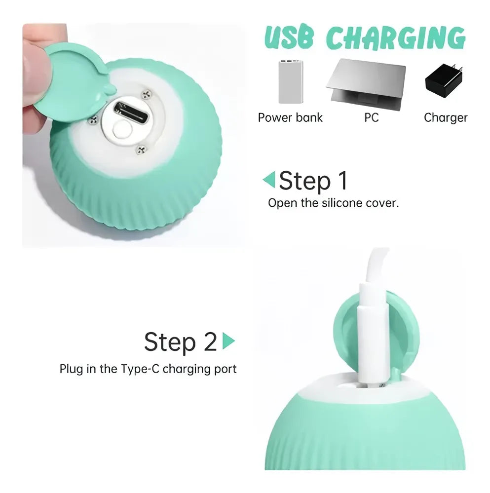 MASCOTAS PELOTA RECARGABLE